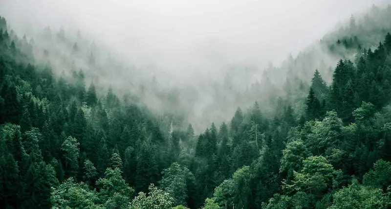 L’impact du web sur l’environnement